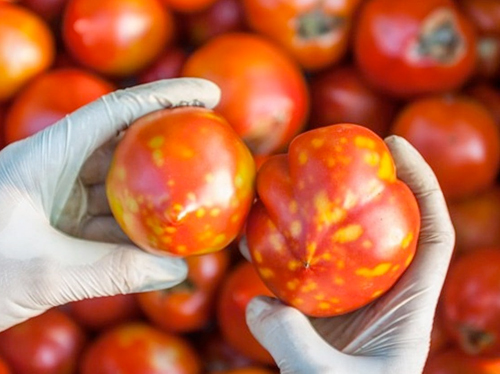 Viral Tehditlerde Erken Uyarı Sistemi